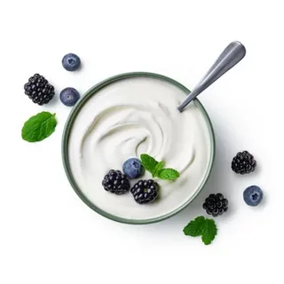 Greek Yogurt