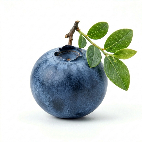 Blueberry