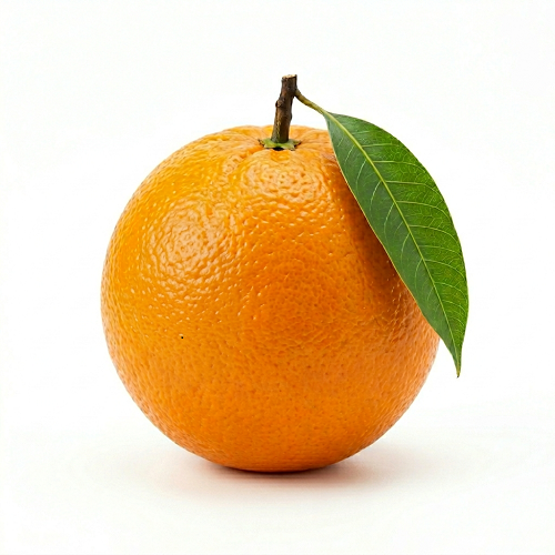 Navel Orange