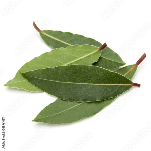 Bay Leaves