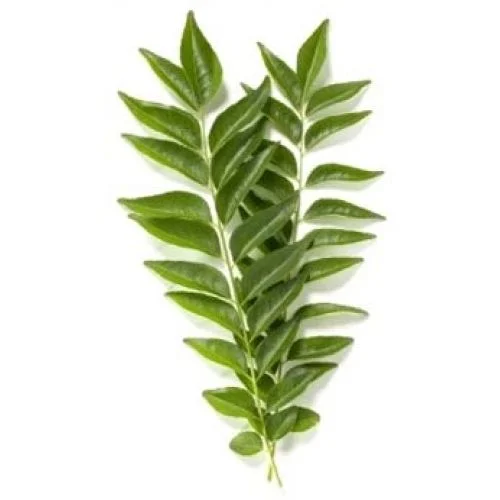Curry Leaves