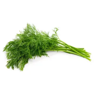 Dill