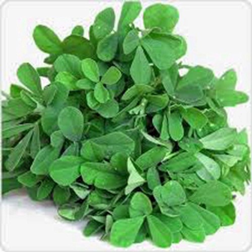 Fenugreek Leaves