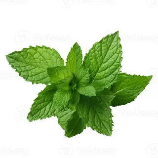 Peppermint