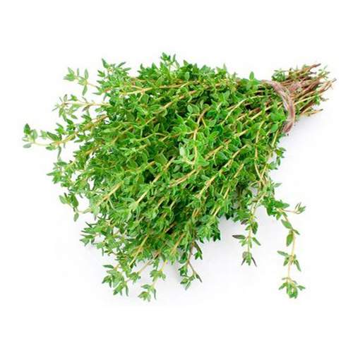 Thyme