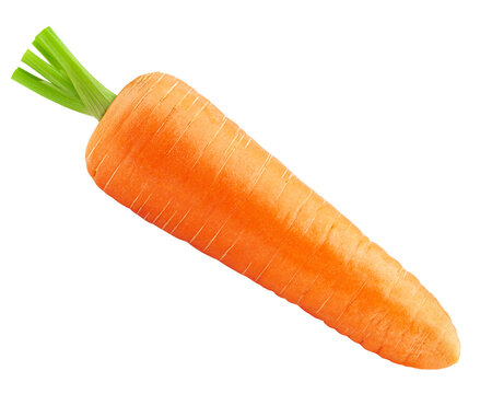 Carrot