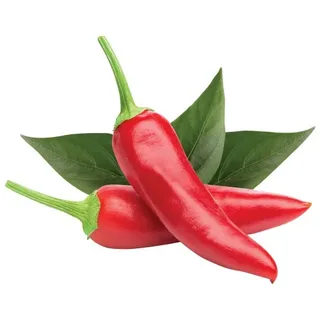 Chilli Pepper