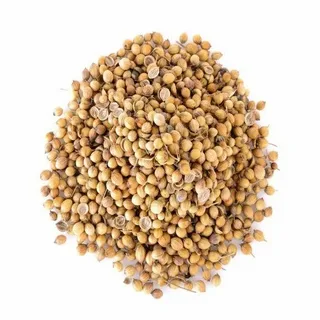 Coriander