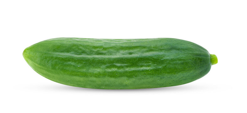 Cucumber