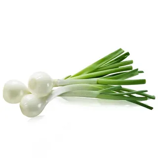 Spring Onion