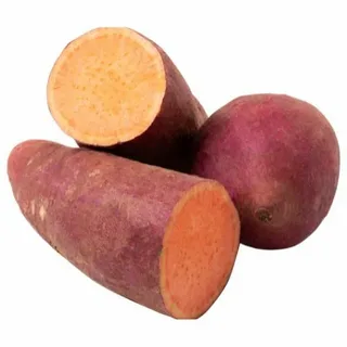 Sweet Potato